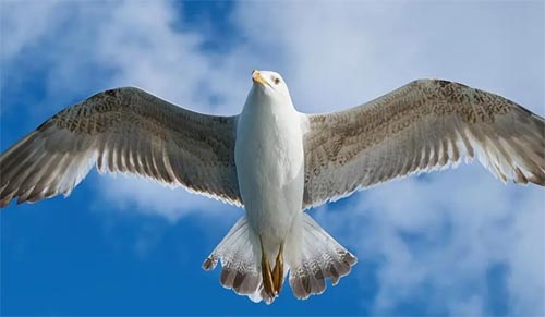 �B���ǹ⿿����w