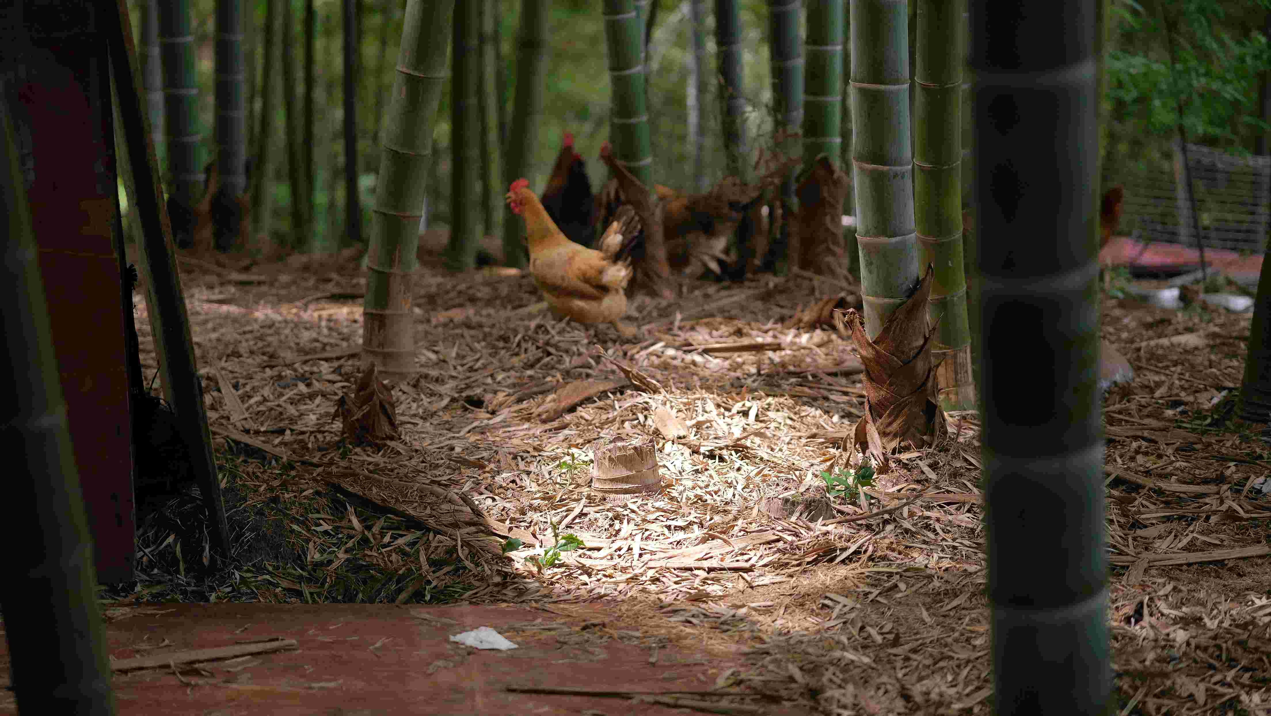 �l�������u