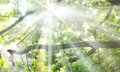 �����й�������