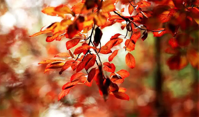 �˴��P(gu��n)˥�~֮��