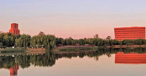 �ӹ����ߡ��F��������ľ��