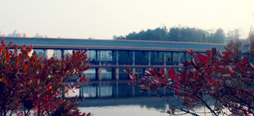 �ѕr�g���o�˔zӰ