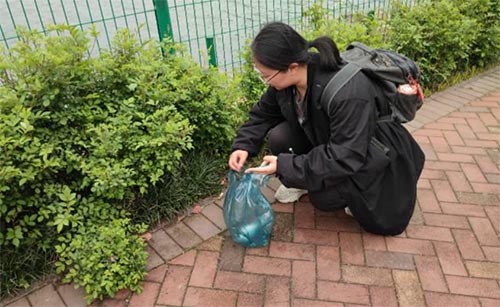 �����O�����ǣ��������Єӡ�ɭ�ֹ��@�坍���