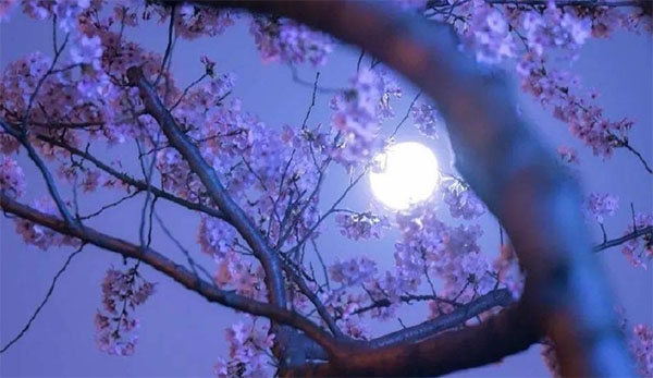 ���L������