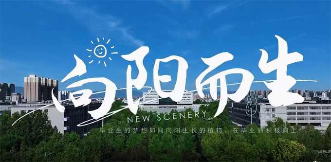 IP裬ഺºӱƼW2025îI