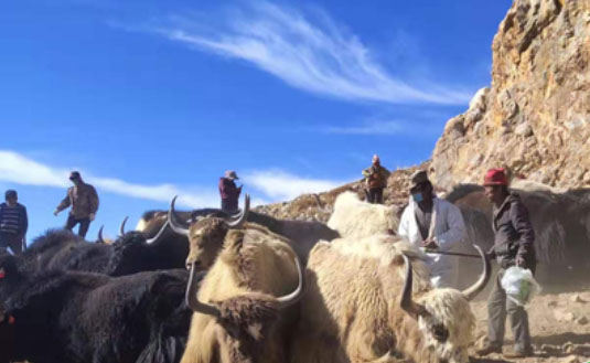 ����������������ֻ��ϲ�g�㡷