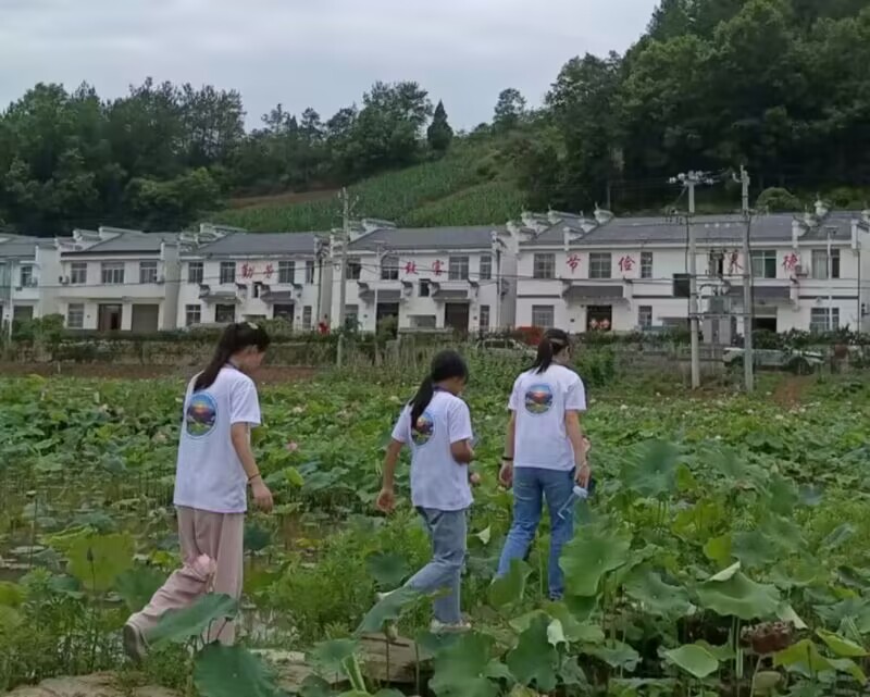 ̽���񾎵�ӛ���� ���z���L����