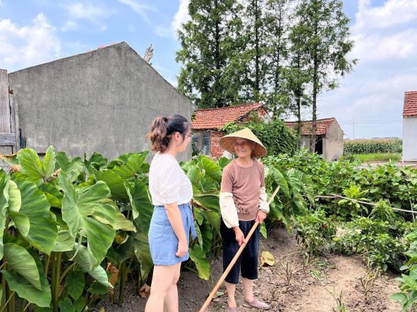 �ώ��W���P���r������Ⱥ�w���s�m��������