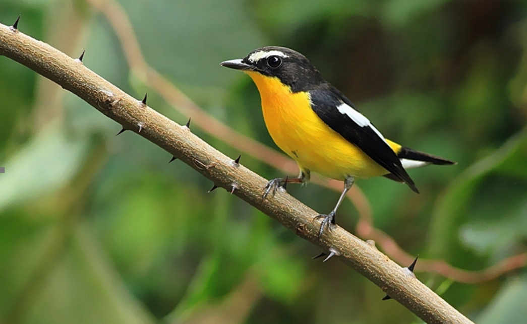 �Ϻ��W�ӽM꠸����֡��}���_չ�B��o������`��� �˽����B������h����·