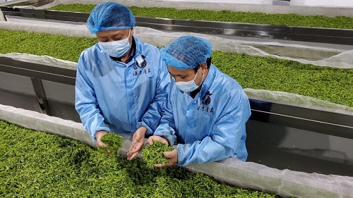 ��(sh��)�W(xu��)�W(xu��)Ժ����ɽ�h���Ļ��{(di��o)�ЈF(tu��n)�(du��)ǰ���Gɫ�̳����L�{(di��o)��