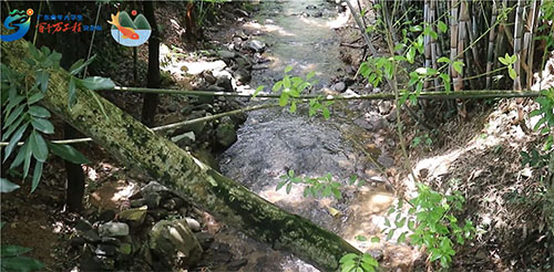 AώWнl`FҴɽȪ~ƷƏV