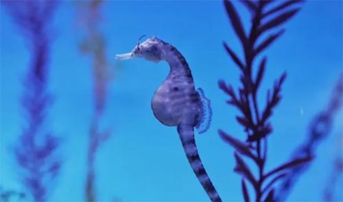 ���R�ġ���������