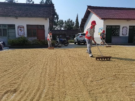 �������������������l�����d