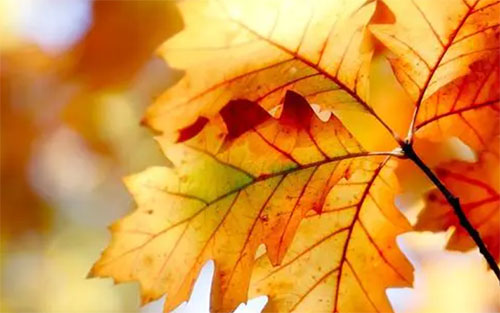 �s�����@���＾