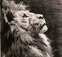 �L���@�֌��I(y��)���l(xi��ng)�徰�^�Lò����