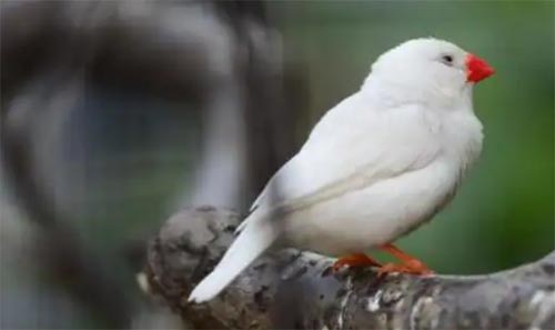 �f�e�������B