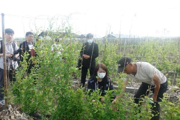 �ώ��W(xu��)�Ӿ۽��r(n��ng)�I(y��)�l(f��)չ�����d�l(xi��ng)�彛(j��ng)��(j��)