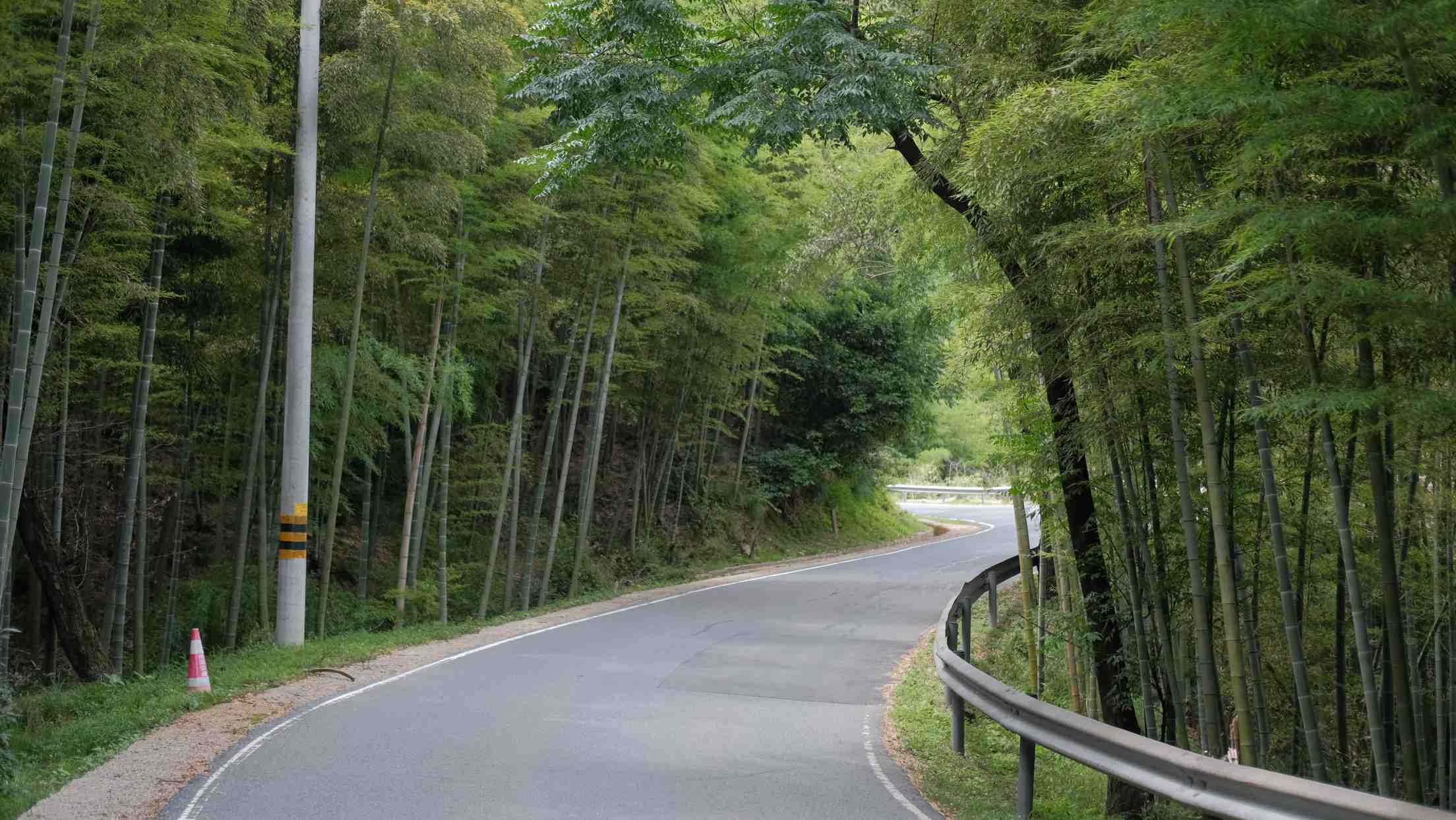 �����g����ζ�����Gɫ�B(y��ng)ֳ�����l(xi��ng)�彛(j��ng)���v�w