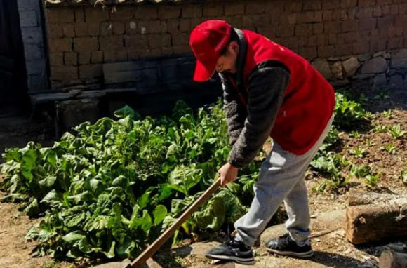 ֻҪ���ŗ����͕��������E