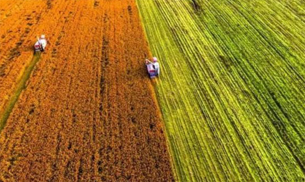 ϲ�g�@Ƭ����