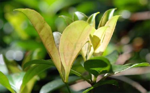 �����~�Ļ������E