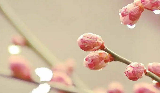 ��(ji��)��