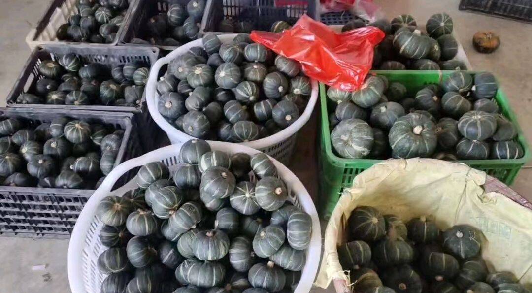 ���L��ꖬF(xi��n)���r(n��ng)�I(y��)ʾ���@��̽���r(n��ng)�I(y��)��(chu��ng)�º��l(xi��ng)�����d