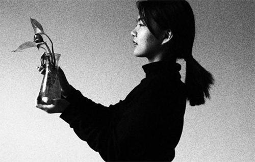 ��򜲻�꣬�������