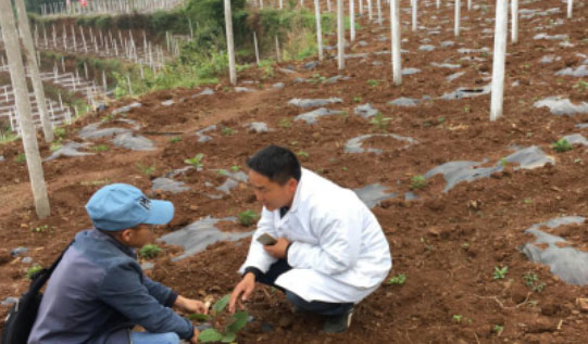 ������׌�J�����_���¸�֮��