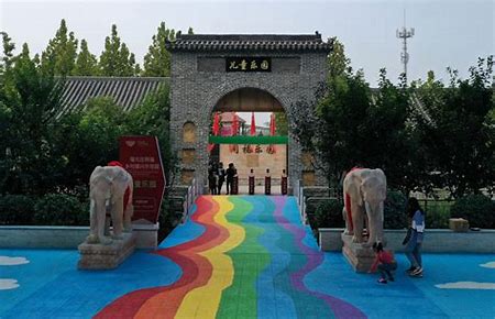 ��Ԫ�f֮�ã������c���ܵ��p�w�