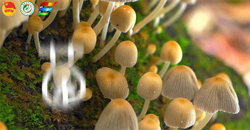 ҊCƼxܾIlչഺldrִW ǻ۾I `