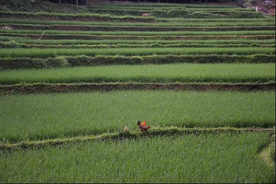 ˮ֌WԺl(xing)`FMѹŴ壺{(dio)ˮza(chn)