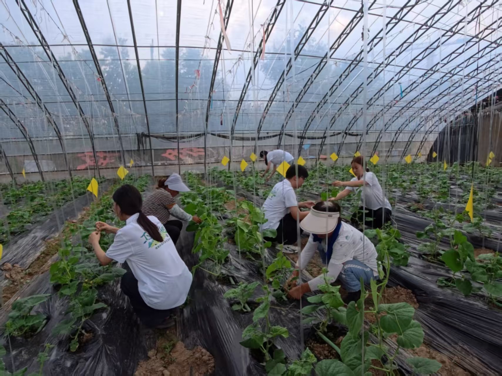 NϏоl(xing)-Ƽ磬̎҂ഺĴ