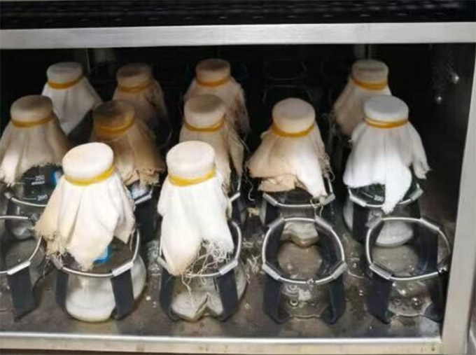 ����������W(xu��)�W(xu��)�ӣ��Č�(sh��)�(y��n)�ҵ����g���^���Ƽ��x���l(xi��ng)�����d