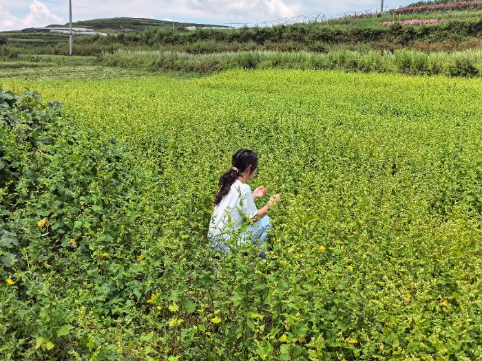 �ƎX�r�L��һ�^�ؚq������İҊ����