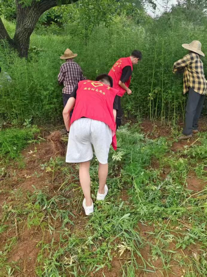 �ഺ�����l����������o�G�`���� | �����l�匍�`��c����ĳ�������