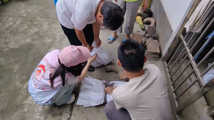 �Ͼ�������W̩�݌WԺ���tʯ��־Ը����M���g���^���Ƽ��x���c�����Ļ����������l�����d