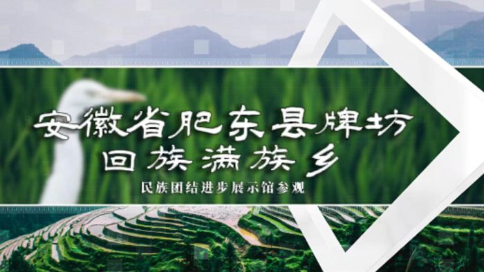 �Ͼ�������W(xu��)̩�݌W(xu��)Ժ���tʯ�񡱸��ʖ|�Ʒ��l(xi��ng)��̽�����干�ڌ�(sh��)�`�����������߻��ӌ�(sh��)Ч