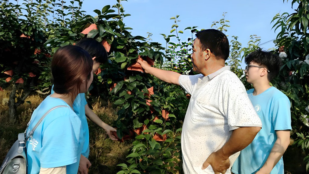 ���b��΢�⡱̽�Lʯ���T�壬���L�l�����d�D��