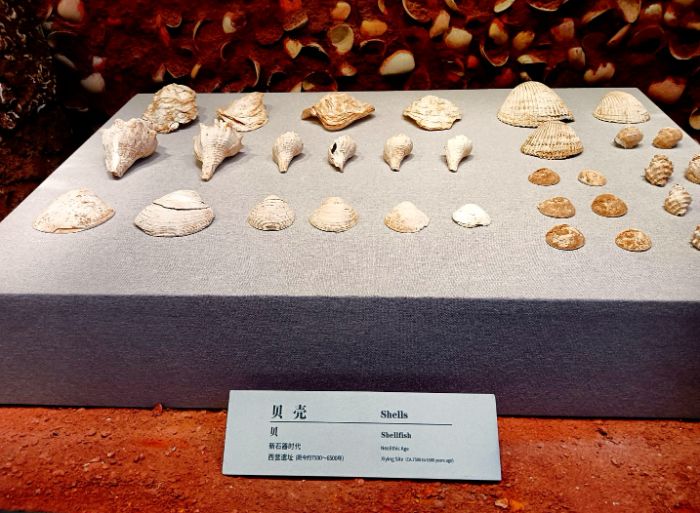 ̽�ύu�Z���� ���x�����Ļ���