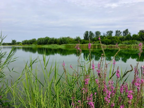 ���������V��ƪ���Ї�ʯ�ʹ�W�����������`�FҊ�C�������d֮·