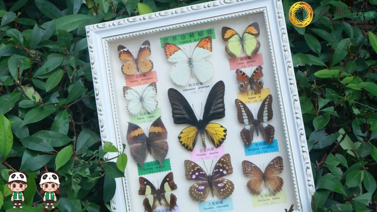 ixġ̼ѭܴaӿƴ󡰾GӳxQ˱ӣָ̼